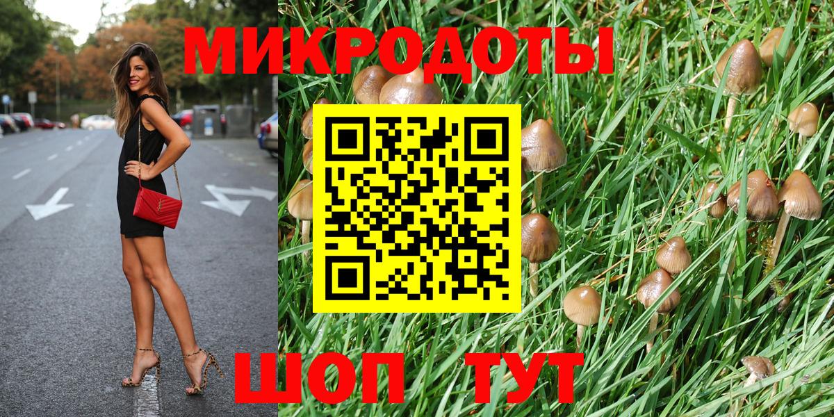 Тверь  Псилоцибиновые грибы мицелий  Вход с VPN 