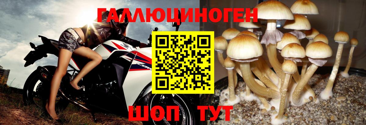 Галлюциногенные грибы мицелий Тверь